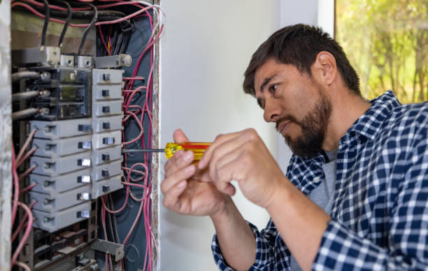 Best Electric Panel Repair  in Oostburg, WI